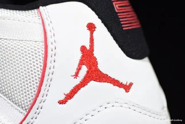 Retro Air 378037-016 Jordan Tint 11 Platinum 0610